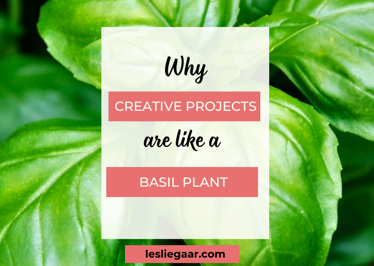 Why Creative Projects Are Like A Basil Plant